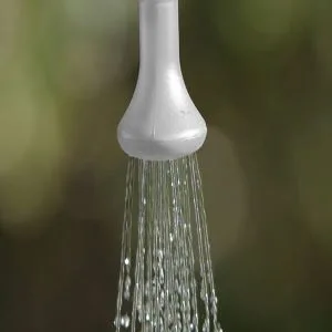 Advanced Elements Summer Shower 5 Gallon - Shower Head