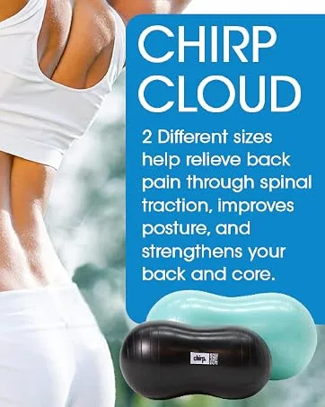 Chirp Wheel Rack - Storage for Chirp Muscle Rollers for Deep Tissue Massage, Secure, Easy Storage for All 4 Wheel Sizes (Chirp Wheels Not Included) - PLEX
