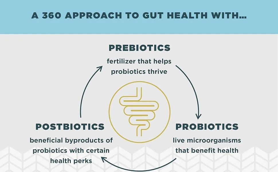 Probiotics by Ancient Nutrition, SBO Probiotics Ultimate 50 Billion CFUs*/Serving, Digestive and Immune Support, Gluten Free, Ancient Superfoods Blend, 60 Capsules - sbo definition
