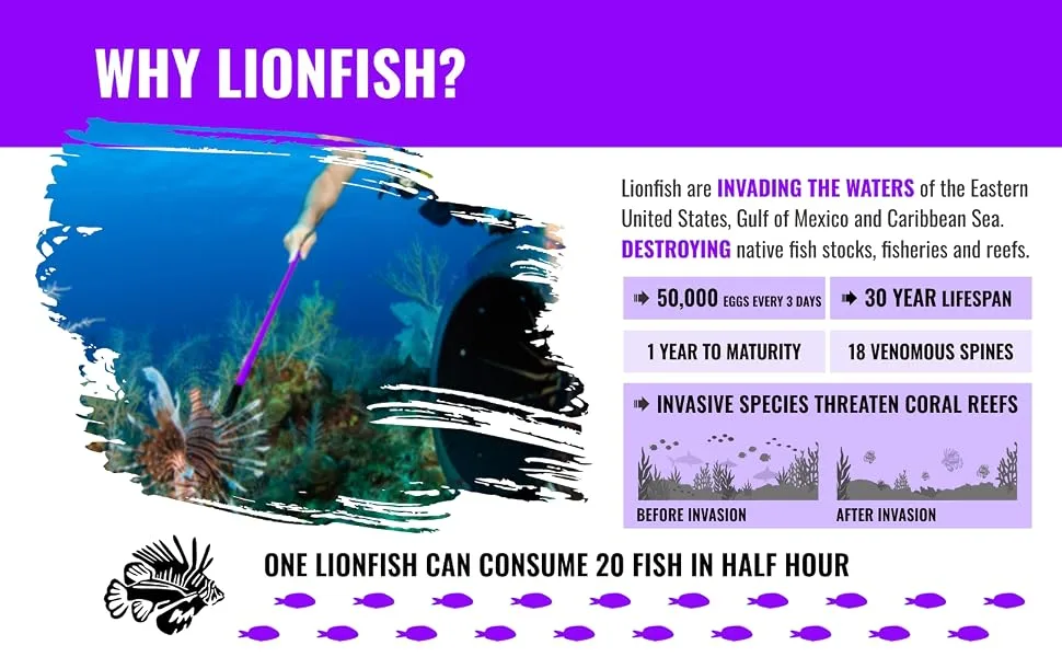 Aquatic Hunt - Spearfishing Diving Lionfish 36 (92cm) Pole Spear with 5 Point Non-Barbed Tip with Sling - Lionfish Spear Module 6 A+