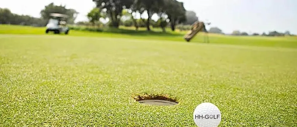 HH-GOLF Golf Swing Speed Trainer Golf Training Aid and Correction for Strength Golf Warm-up Stick Tempo Flexibility Training Club, with 3 Different Weights - HH-GOLF