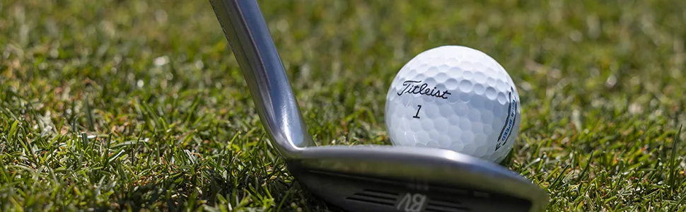Titleist Tour Speed Golf Balls (One Dozen) White - Tour Speed Golf Ball
