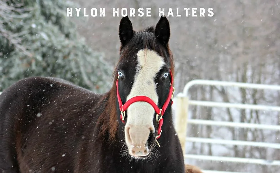 Weaver Leather Adjustable Patterned Nylon Horse Halter Average Horse Black/Multi Chevron - horse halter