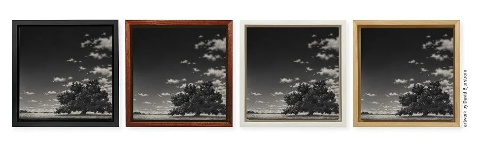 Ampersand Floaterframe for Wood Panels, 1.5 Inch Depth, Bold, 8X10 Inch, Black (FBOLD150810B) - Floaterframes