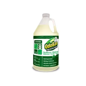 OdoBan Professional Cleaning Ready-to-Use BioStain and Odor Remover, 1 Gallon 1 Gallon Biostain - OdoBan Eucalyptus Gallon