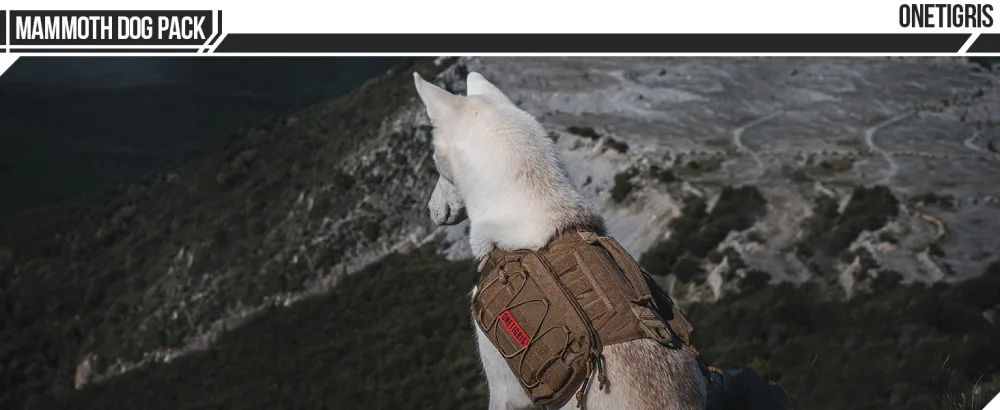 OneTigris Dog Backpack for Medium & Large Dogs, Nylon Backpack for Dogs Tactical Pet Backpack with Side Pockets for Hiking Walking Training Running Green Large - product information 11