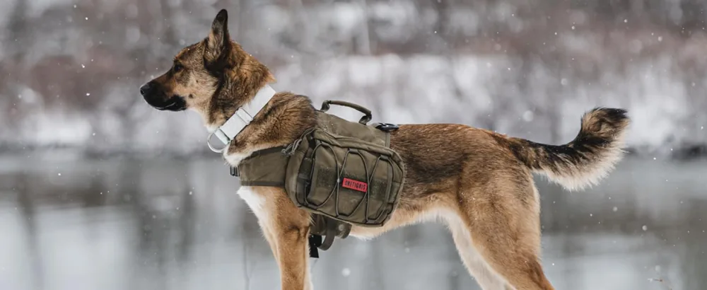 OneTigris Dog Backpack for Medium & Large Dogs, Nylon Backpack for Dogs Tactical Pet Backpack with Side Pockets for Hiking Walking Training Running Green Large - product information 14