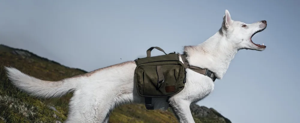 OneTigris Dog Pack Hound Travel Camping Hiking Backpack Saddle Bag Rucksack for Medium & Large Dog (Ranger Green, Large) Large Green - product information 15