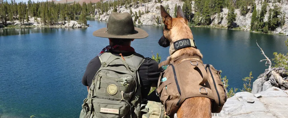 OneTigris Dog Pack Hound Travel Camping Hiking Backpack Saddle Bag Rucksack for Medium & Large Dog (Ranger Green, Large) Large Green - product information 9
