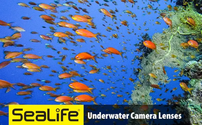 SeaLife Lens Caddy for Micro, ReefMaster and DC-Series Lenses - SeaLife Underwater Camera Lenses