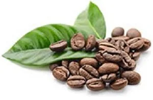 Green Mountain Coffee Roasters Half Caff, Single-Serve Keurig K-Cup Pods, Medium Roast Coffee, 12 Count (Pack of 6), Total 72 Count - Green Mountain Coffee, Green Mountain Coffee regular, Keurig K-Cup pods, Keurig coffee, Keurig