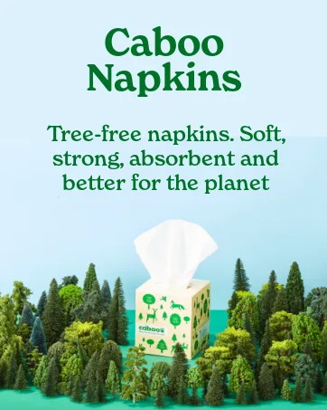 Caboo Tree Free Bamboo Paper Towels, 6 Rolls, Earth Friendly Sustainable Kitchen Paper Towels with Strong 2 Ply Sheets 6 Count (Pack of 1) - 2500 x 1508