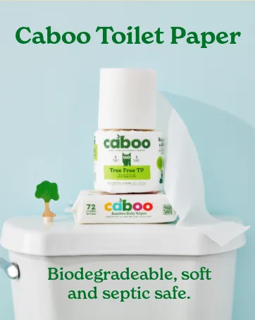 Caboo Tree Free Bamboo Paper Towels, 6 Rolls, Earth Friendly Sustainable Kitchen Paper Towels with Strong 2 Ply Sheets 6 Count (Pack of 1) - 2500 x 1667