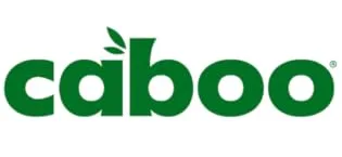 Caboo Tree Free Bamboo Paper Towels, 6 Rolls, Earth Friendly Sustainable Kitchen Paper Towels with Strong 2 Ply Sheets 6 Count (Pack of 1) - 3319 x 855