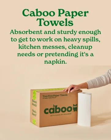 Caboo Tree Free Bamboo Paper Towels, 6 Rolls, Earth Friendly Sustainable Kitchen Paper Towels with Strong 2 Ply Sheets 6 Count (Pack of 1) - 8688 x 5792