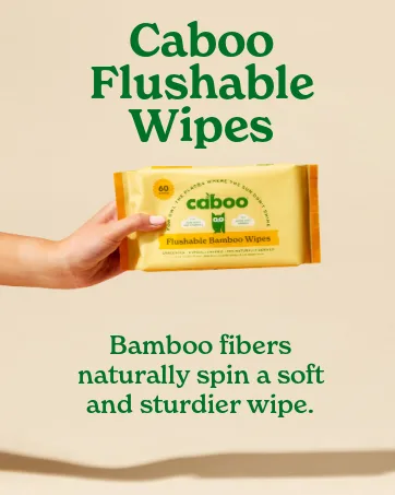 Caboo Tree Free Bamboo Paper Towels, 6 Rolls, Earth Friendly Sustainable Kitchen Paper Towels with Strong 2 Ply Sheets 6 Count (Pack of 1) - Flushable wipes safe and sturdier