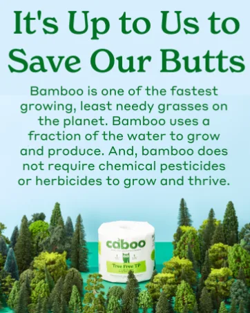 Caboo Tree Free Bamboo Paper Towels, 6 Rolls, Earth Friendly Sustainable Kitchen Paper Towels with Strong 2 Ply Sheets 6 Count (Pack of 1) - Save your butt