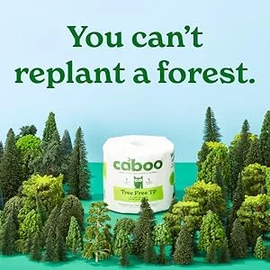Caboo Tree Free Bamboo Paper Towels, 6 Rolls, Earth Friendly Sustainable Kitchen Paper Towels with Strong 2 Ply Sheets 6 Count (Pack of 1) - Trees cleared