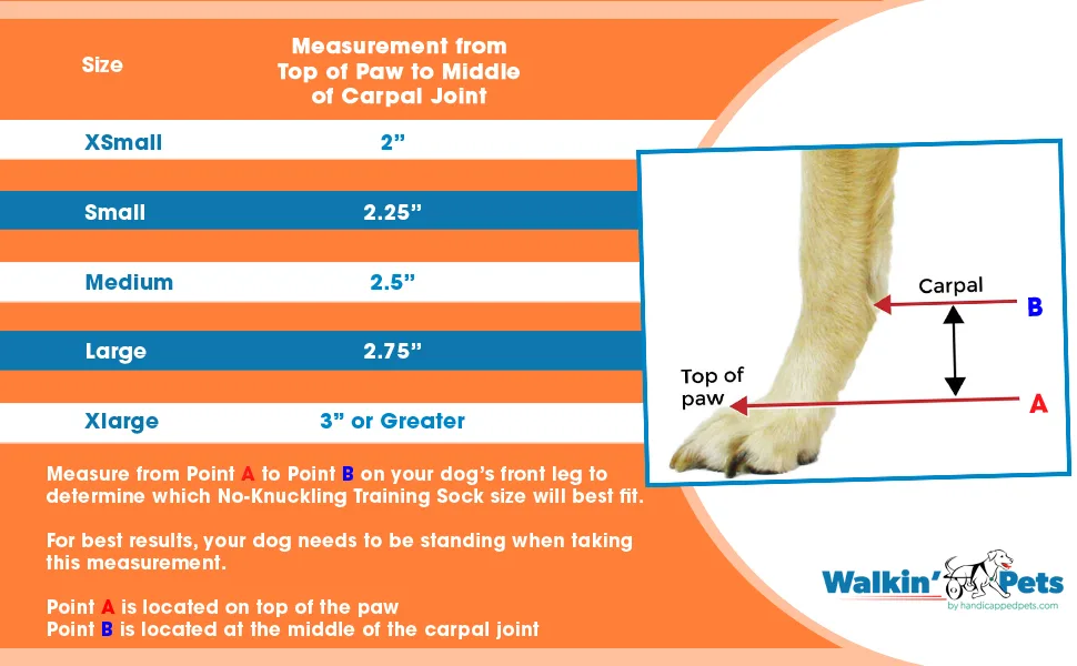 Front No-Knuckling Training Sock | Helps Dogs Pick up Their Feet When Knuckling Under or Dragging Their Front Paws Small - Walkin