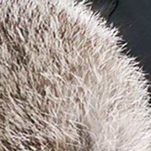 Fur Winter Trapper Hat,100% Rabbit Fur Aviator Ski Trapper Trooper Pilot Hat,Snow Eskimo Hat with Ear Flaps for Men & Women Grey Medium-Large - product information 3
