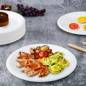 Vplus 150 Pack Compostable Disposable Paper Plates 10 inch Super Strong Paper Plates 100% Bagasse Natural Biodegradable Eco-Friendly Sugarcane Plates(white) 10 in White - Disposable Paper Plates