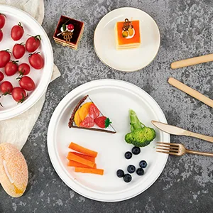 Vplus 150 Pack Compostable Disposable Paper Plates 10 inch Super Strong Paper Plates 100% Bagasse Natural Biodegradable Eco-Friendly Sugarcane Plates(white) 10 in White - Disposable Paper Plates