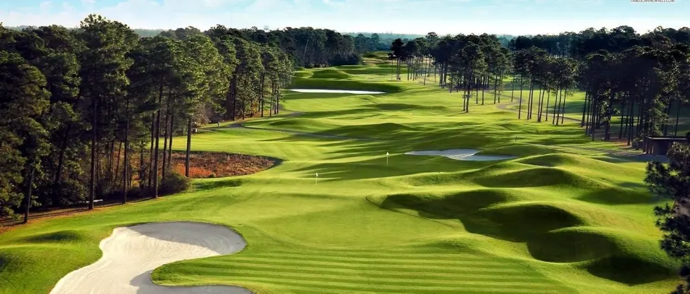 Club Champ Chip and Shag Golf Combo - golf gifts gallery