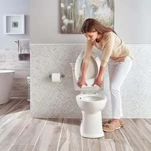 TOTO Transitional SoftClose SS114#01 Elongated Soft Close SEAT, Cotton White Cotton White Elongated Seat - Intregity