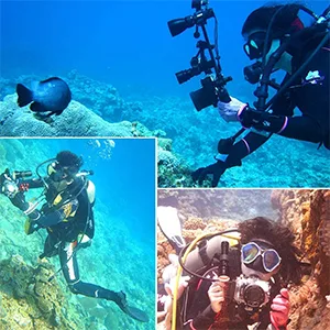 Dual Handle Underwater Camera Tray Extendable Aluminum Underwater Handle Tray Bracket with 2 Ball Handle, Video Light Stabilizer Tray for Camera Housing, Handle Grip Tray for Gopro Action Camera - product information 9