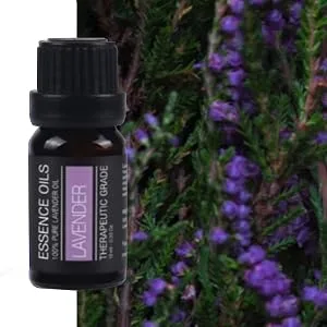 Aromatherapy Essential Oil Diffuser Gift Set - 400ml Ultrasonic Diffuser with 20 Essential Plant Oils - 4 Timer & 7 Ambient Light Settings - Therapeutic Grade Essential Oils Light Wood Diffuser + 20 Essential Oils - product information 12