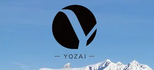 Yozai Women's Winter Coat, Waterproof Ski Snow Jacket Mountain Windbreaker Hooded Parka Medium Casual Black - BRAND YOZAI