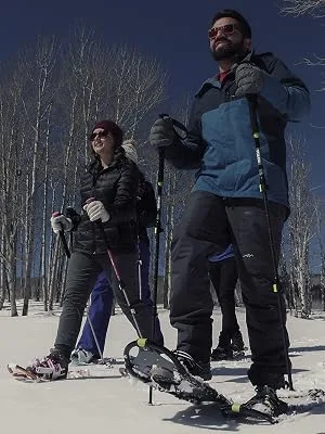 Yukon Charlie's Pro Trekking Poles, Fast Lock Adjustment System, Trekking and Snow Baskets Included - Trekking