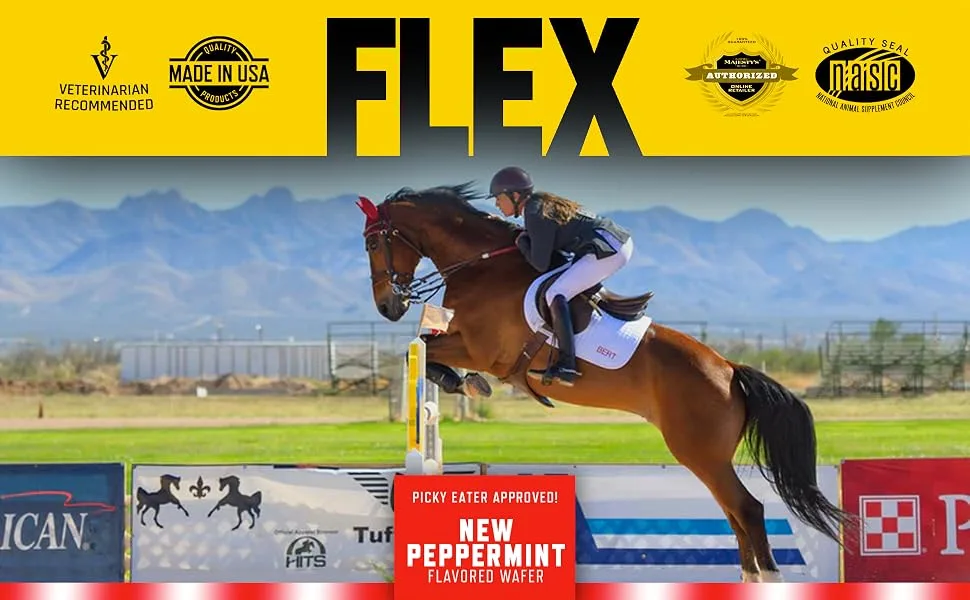 Majesty's Flex Wafers - Superior Horse/Equine Joint Support Supplement - Glucosamine, MSM, Chondroitin, Yucca, Vitamin C (Peppermint, 60 Count) Peppermint 60 count - Majesty