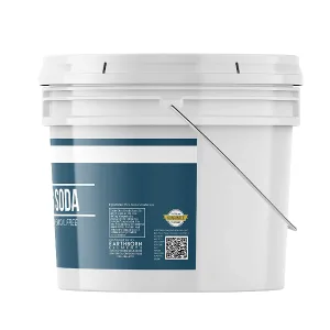 Earthborn Elements Washing Soda (1 Gallon), Soda Ash, Sodium Carbonate, Non-Toxic Laundry Booster 9 Pound (Pack of 1) - Earthborn Elements Washing Soda