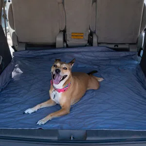 BRAWNTIDE Large Outdoor Waterproof Blanket - Quilted, Extra Thick Fleece, Warm, Windproof, Sandproof, Includes Stuff Sack, Shoulder Strap, Ideal for Beaches, Picnics, Camping, Stadiums, Dogs, Car Wine - Brawntide Pet Dog Cat Blanket