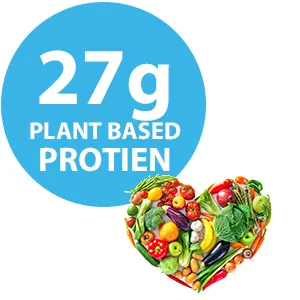 Almased Meal Replacement Shake - 6 Pack - Plant Base Protein - Non GMO, Gluten Free,17.6 oz - (6 Pack) - 27g Plant Based Protien