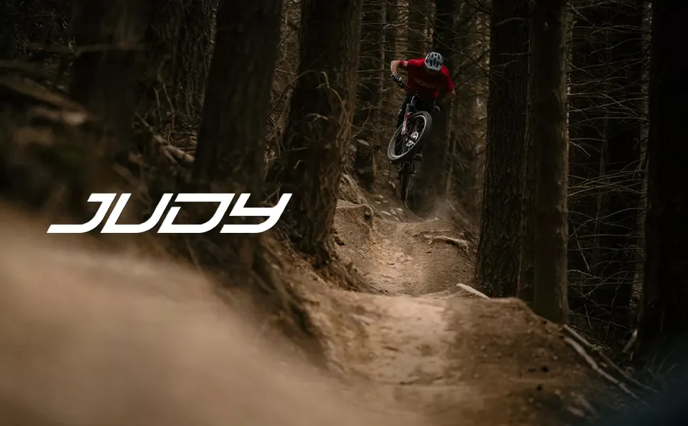 RockShox Judy Silver TK Suspension Fork | 27.5" | 100 mm Travel | 9 x 100 mm spacing | 42 mm Offset | Black - rockshox