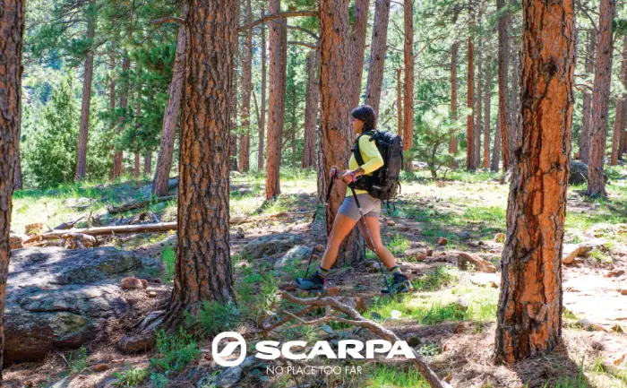 SCARPA Women's Rush Trk GTX Waterproof Gore-Tex Hiking and Backpacking Boots Conifer-raspberry 6 Women/5 Men - Main
