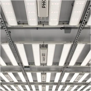 AutoPilot APDPX2 Advanced PX2 Lighting Controller, White - control 512 digital HID fixtures