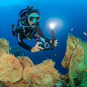 Sea Dragon 2500F Head Light Head (SL6712) - Diver with Light