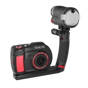Sea Dragon Universal Flash - product information 4