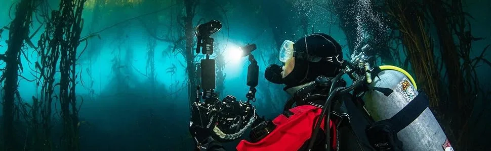 Light & Motion Sola Video 3800, Black/Titanium - Underwater Photographer Shots Kelp Forest
