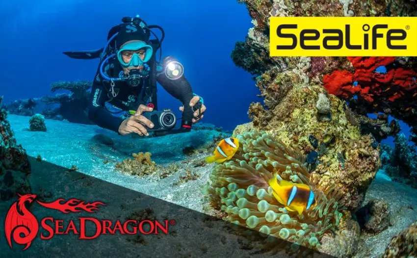 Sea Dragon 2500F Light Kit (SL671) - Sea Dragon Lights