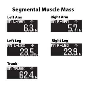 TANITA's RD-545 InnerScan PRO, FDA Cleared, World's Only Consumer Multi-Frequency, Segmental Body Composition Scale - Segmental Muscles Mass measurement reading on scale display
