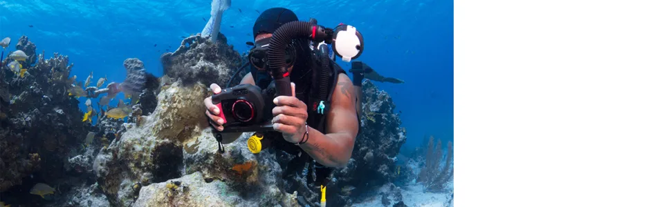 Sea Dragon Duo 3000 Flash Set - product information 3