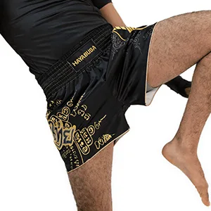 Hayabusa Falcon Muay Thai Shorts Small Black - product information 14