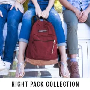 JanSport Agave Backpack White Storm Army Green - product information 18
