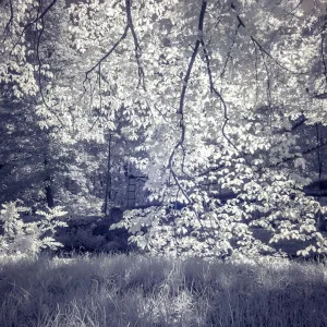 Hoya 77mm R-72 Infrared Filter - Hoya Infrared R72 Filter