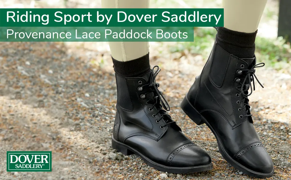 Dover Saddlery Riding Sport Ladies' Provenance Zip Paddock Boots 5.5 Black - Paddock Boot Dispay Image A+