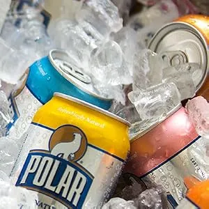 Polar Beverages Seltzer Sparkling Water Variety Pack Flavored Seltzer Drinking Water 12 x 20 Ounce - product information 3